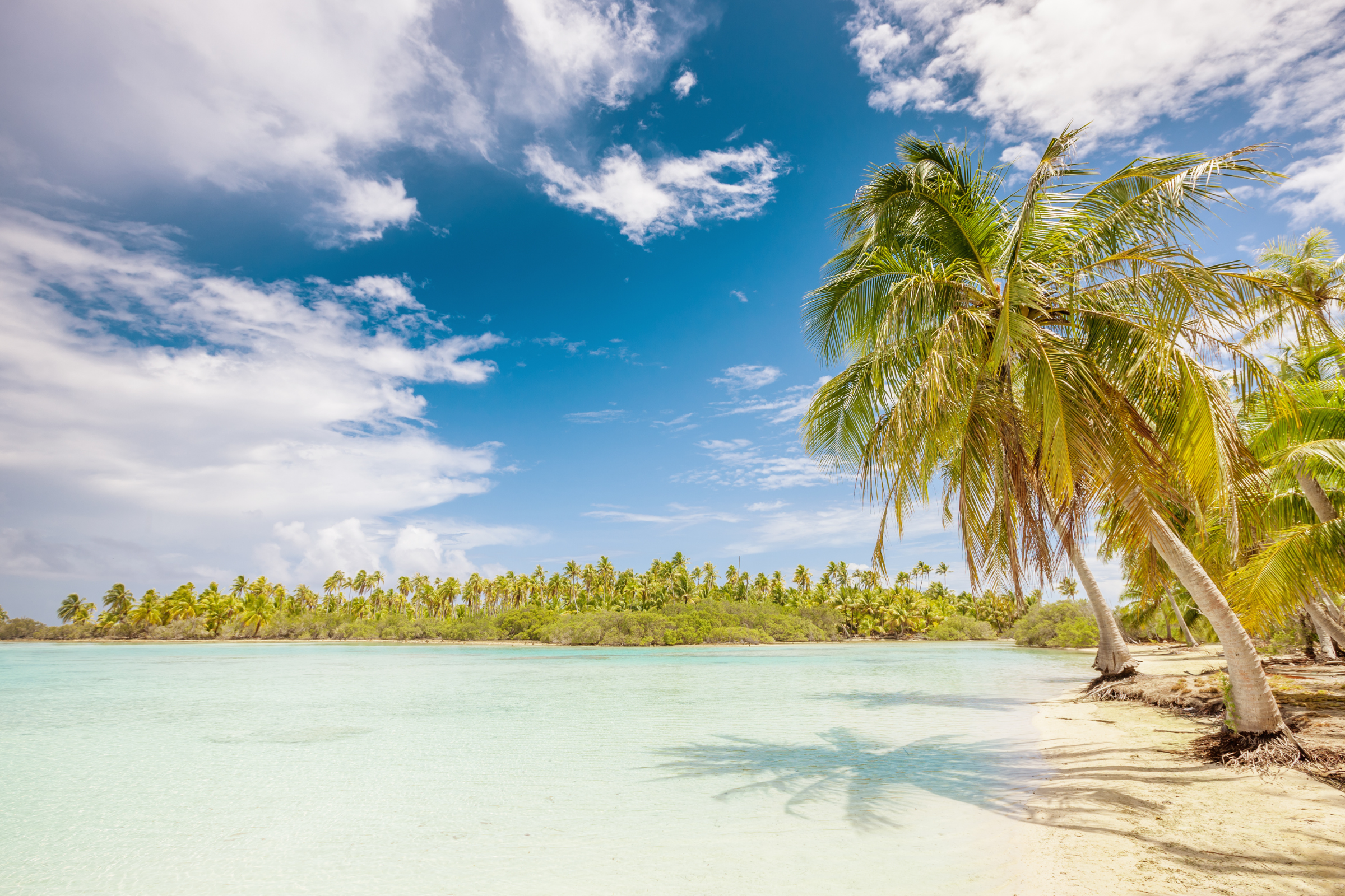 185 tuamotu archipelago.webp